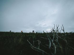 縱情山林古道 騎它個幾千幾百里！